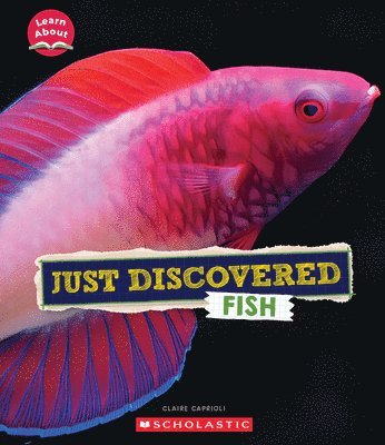 bokomslag Just Discovered Fish (Learn About: Animals)