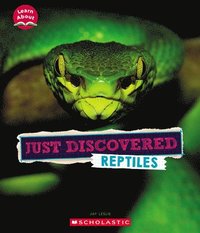 bokomslag Just Discovered Reptiles (Learn About: Animals)
