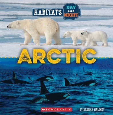Brenna Maloney - Arctic (Wild World: Habitats Day and Night), Häftad