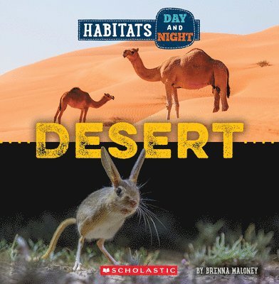 Desert (Wild World: Habitats Day and Night) 1