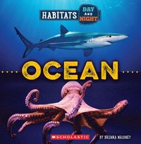 bokomslag Ocean (Wild World: Habitats Day and Night)