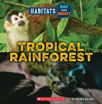 bokomslag Tropical Rainforest (Wild World: Habitats Day and Night)