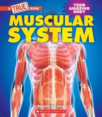 bokomslag Muscular System (a True Book: Your Amazing Body)