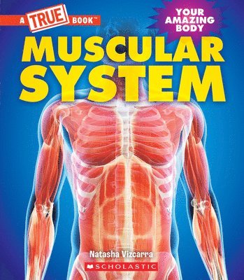 bokomslag Muscular System (a True Book: Your Amazing Body)