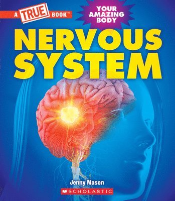 bokomslag Nervous System (a True Book: Your Amazing Body)