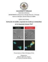 bokomslag Activación de IL23A y represión de IL12A por metabolitos en la respuesta inmune Th17