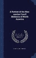 bokomslag A Review of the Non-marine Fossil Mollusca of North America