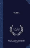 bokomslag Galatea