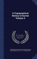 bokomslag A Topographical History of Surrey Volume 4