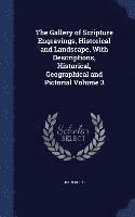 bokomslag Gallery of Scripture Engravings, Historical and Landscape, With Descriptions, Historical, Geographical and Pictorial Volume 3