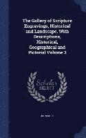 bokomslag The Gallery of Scripture Engravings, Historical and Landscape, With Descriptions, Historical, Geographical and Pictorial Volume 3