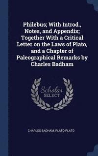 bokomslag Philebus; With Introd., Notes, and Appendix; Together With a Critical Letter on the Laws of Plato, and a Chapter of Paleographical Remarks by Charles Badham
