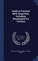 Franz Fischoeder, Albert Theodore Peters - Guide to Practical Meat Inspection, Including Examination for Trichina, Inbunden