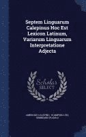 bokomslag Septem Linguarum Calepinus Hoc Est Lexicon Latinum, Variarum Linguarum Interpretatione Adjecta