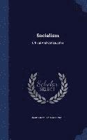 bokomslag Socialism