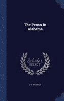 The Pecan In Alabama 1