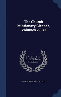 bokomslag The Church Missionary Gleaner, Volumes 29-30