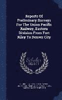 bokomslag Reports Of Preliminary Surveys For The Union Pacific Railway, Eastern Division From Fort Riley To Denver City