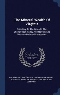 bokomslag The Mineral Wealth Of Virginia