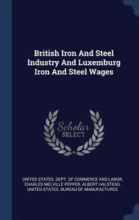 bokomslag British Iron And Steel Industry And Luxemburg Iron And Steel Wages