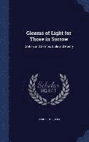 bokomslag Gleams of Light for Those in Sorrow