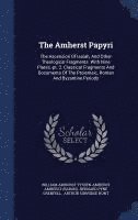 bokomslag The Amherst Papyri