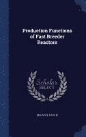 bokomslag Production Functions of Fast Breeder Reactors