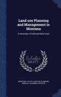 bokomslag Land use Planning and Management in Montana