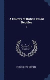 bokomslag A History of British Fossil Reptiles