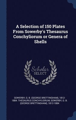 A Selection of 150 Plates From Sowerby's Thesaurus Conchyliorum or Genera of Shells 1