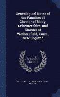 bokomslag Genealogical Notes of the Families of Chester of Blaby, Leicestershire, and Chester of Wethersfield, Conn., New England