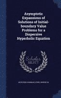 Asymptotic Expansions of Solutions of Initial-boundary Value Problems for a Dispersive Hyperbolic Equation 1