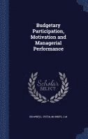 bokomslag Budgetary Participation, Motivation and Managerial Performance