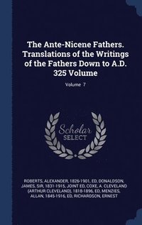 bokomslag The Ante-Nicene Fathers. Translations of the Writings of the Fathers Down to A.D. 325 Volume; Volume 7