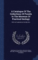 A Catalogue Of The Collections Of Fossils In The Museum Of Practical Geology 1