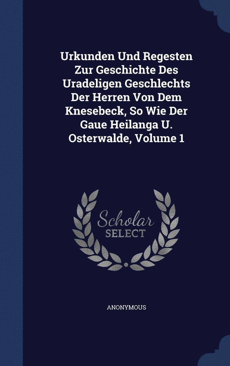 Urkunden Und Regesten Zur Geschichte Des Uradeligen Geschlechts Der Herren Von Dem Knesebeck, So Wie Der Gaue Heilanga U. Osterwalde, Volume 1 1