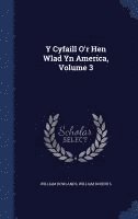 bokomslag Y Cyfaill O'r Hen Wlad Yn America, Volume 3