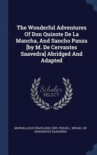bokomslag The Wonderful Adventures Of Don Quixote De La Mancha, And Sancho Panza [by M. De Cervantes Saavedra] Abridged And Adapted