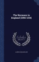 bokomslag Normans in England (1066-1154)