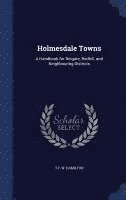 bokomslag Holmesdale Towns