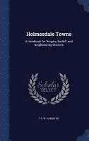 Holmesdale Towns