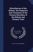 bokomslag Disturbances of the Kidney, the Diagnosis and Treatment of the Various Disorders of the Kidney and Urinary Tract