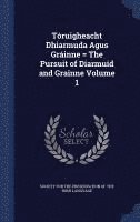 bokomslag Truigheacht Dhiarmuda Agus Grinne = The Pursuit of Diarmuid and Grainne Volume 1
