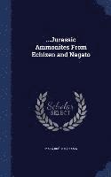 bokomslag ...Jurassic Ammonites From Echizen and Nagato