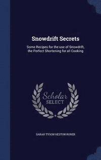 bokomslag Snowdrift Secrets