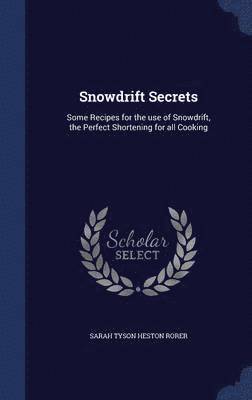 Snowdrift Secrets 1