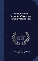 bokomslag Fluorspar Deposits of Southern Illinois Volume 1905