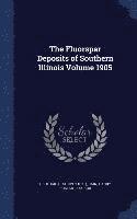 bokomslag The Fluorspar Deposits of Southern Illinois Volume 1905