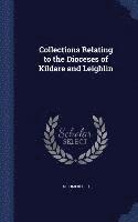bokomslag Collections Relating to the Dioceses of Kildare and Leighlin