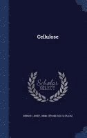 bokomslag Cellulose